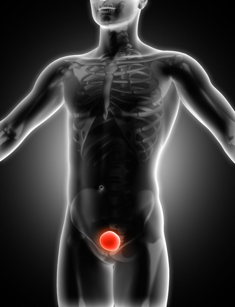 Odontología y Medicina Salud - Atención odontológica y médica de alta calidad con una tienda en línea de productos para tu bienestar integral.