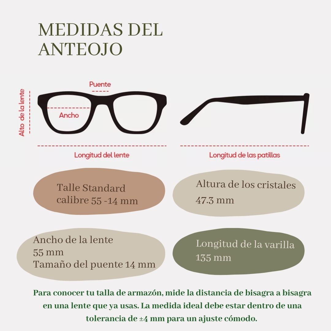 Ray-Ban Aviator New con armazón dorado y lentes Green G-15. Estilo clásico, talle estándar y protección solar de alta calidad.